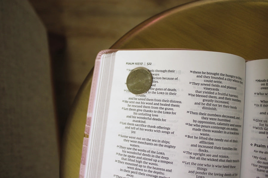 NIV THINLINE BIBLE SOFT COVER (NIV, pink)