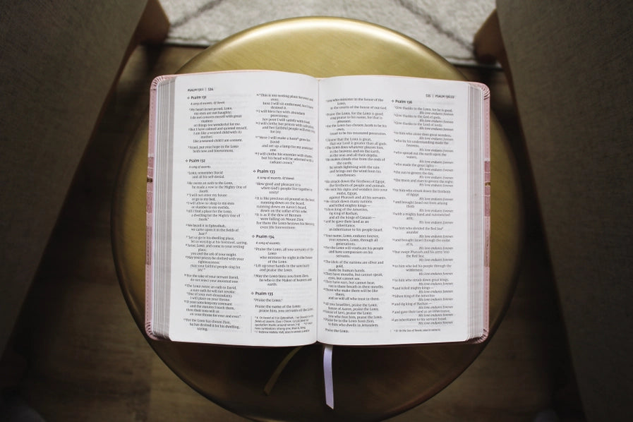 NIV THINLINE BIBLE SOFT COVER (NIV, pink)